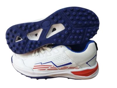 HDL Cricket Shoe