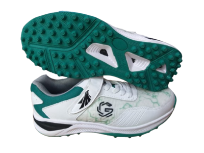 Gowin Shoe Hawk