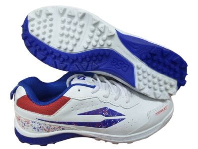 DSC Cricket Shoe Zooter XT