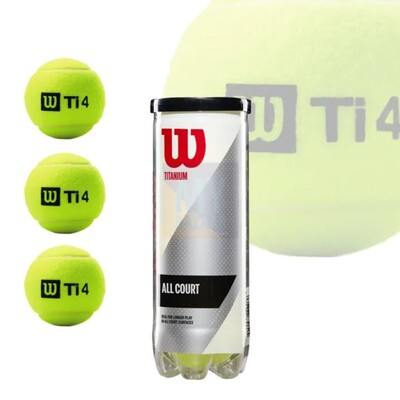 Wilson WTI 4  Tennis Ball